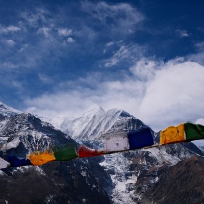 Himalayan Ace