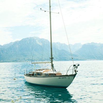 Soft Vintage Color