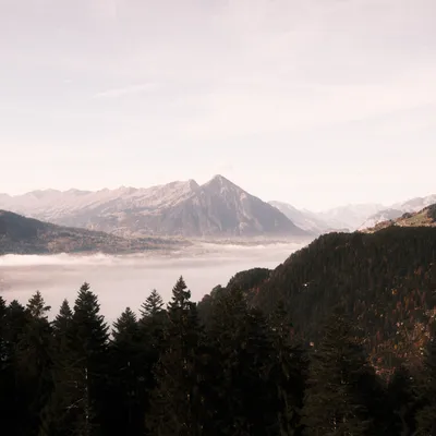 Misty Film